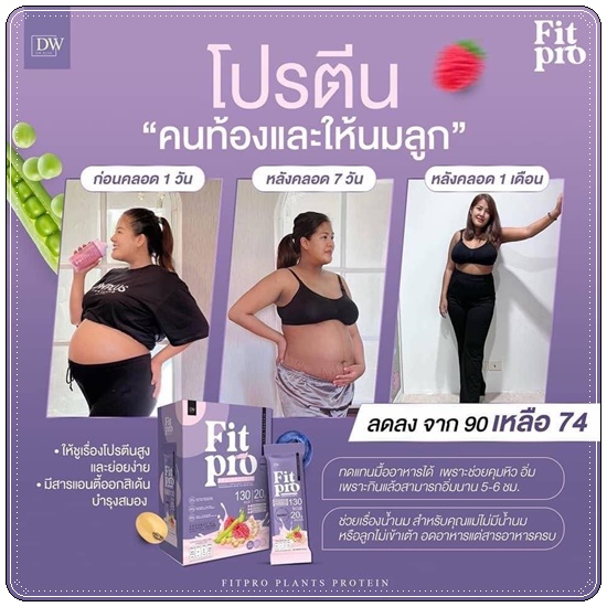 FIT PRO Plant Based Protein โปรตีนจากพืช BY DW Plus