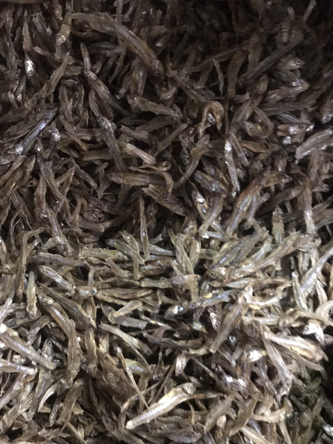 ปลากะตัก ปลากะตักแห้ง เนื้อหนา รสเข้มข้น ตากแห้งธรรมชาติ 🌊 Quality Dried Snakehead Fish 🌊 ✨ 100% Natural Sun-Dried Snakehead Fish 🐟✨ #ปลากะตักแห้ง #คุณภาพดี ทอดกรอบ ต้มแกง ผัดพริก อร่อยทุกเมนู!