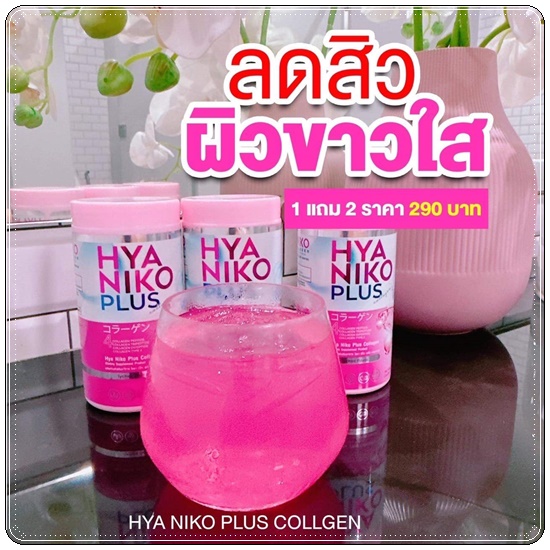 ไฮยานิโกะ คอลลาเจน HYA Niko Plus Collagen (1แถม2)