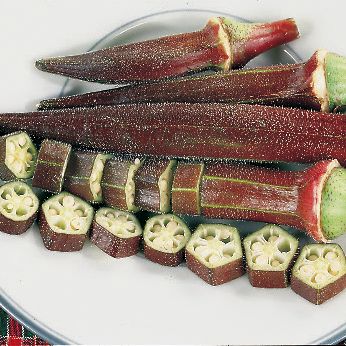 กระเจี๊ยบมอญสีแดง - Burgundy Okra