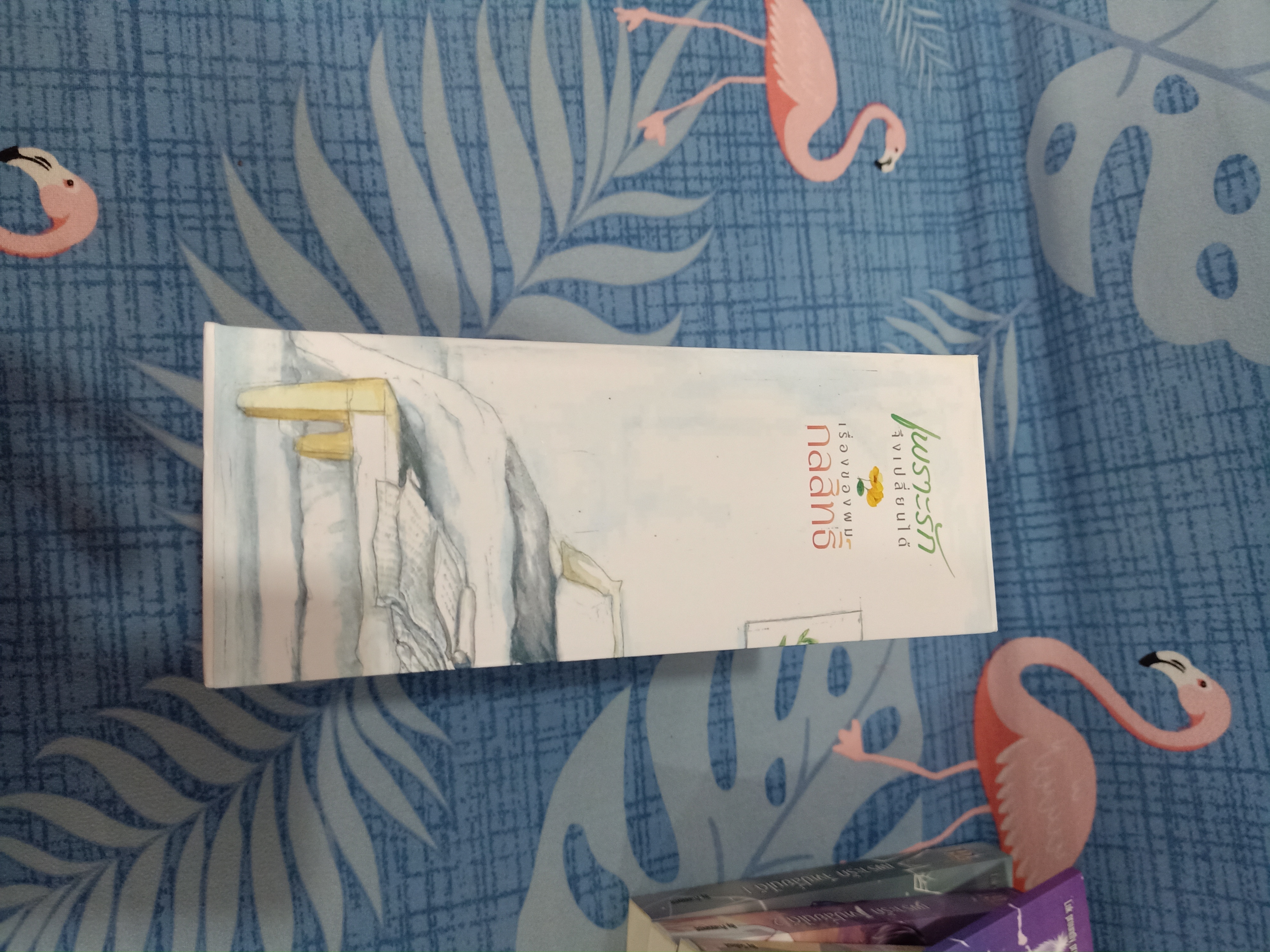 Boxset นิยายแต่ง เพราะรักจึงเปลี่ยนได้ + เรื่องของผมกับสิทธิ รอบจอง
