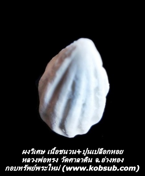 ผงวิเศษ เนื้อชนวน+ปูนเปลือกหอย หลวงพ่อทรง วัดศาลาดิน