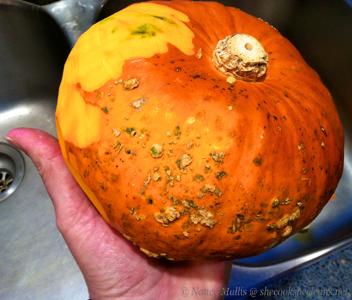 ฟักทองญี่ปุ่นสีส้ม F1 - Red chesnut Japanese Pumpkin F1