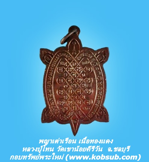 พญาเต่าเรือน เนื้อทองแดง หลวงปู่โทน วัดเขาน้อยคีรีวัน