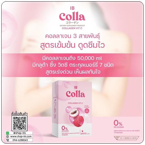 ไอบี คอลลา IB Colla