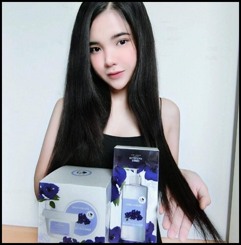 ชรแฮร์เฮิร์บ แชมพูสมุนไพรสดอัญชันขิง Chorn Hairherb เร่งยาว ลดการหลุดร่วง (1 แถม 1 ) ส่งฟรี