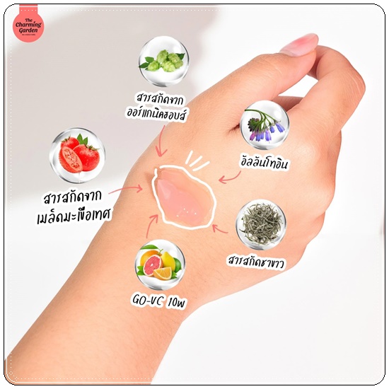 เจลกู้โทรมมะเขือเทศ Tomato Revitalizing Gel (ส่งฟรี)