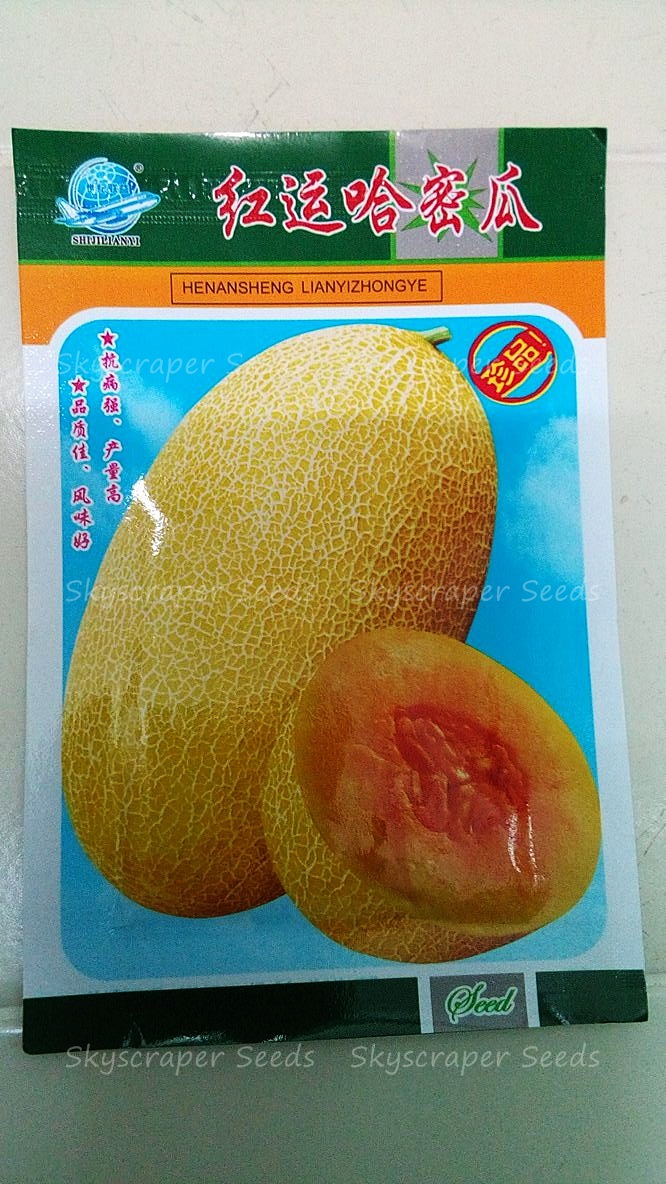 แตงฮามี - Hami Melon