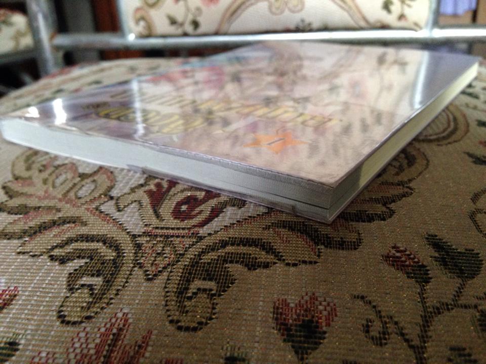 บันทึกหัวขโมยดวงจู๋ เล่ม 1/อวิ๋นอวี้