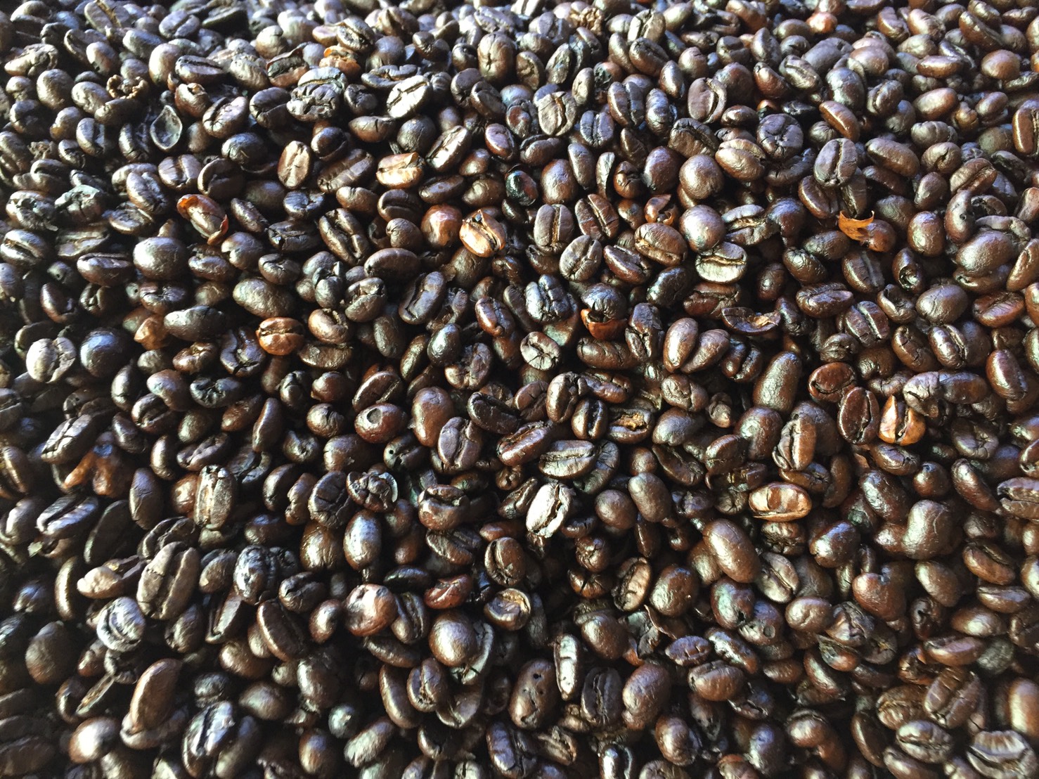 เมล็ดกาแฟ ชนิดคั่วเข้ม ขนาด 500 กรัม Roasted Bean Coffee - Dark Roast 500 g กาแฟอาราบิก้า (Arabica) 100% Shade Grown Coffee ปลูกกาแฟใต้ร่มเงา เมล็ดกาแฟออร์แกนิค ปลูกแบบธรรมชาติ ปลอดสาร จากยอดดอย อ.แม่อาย จ.เชียงใหม่