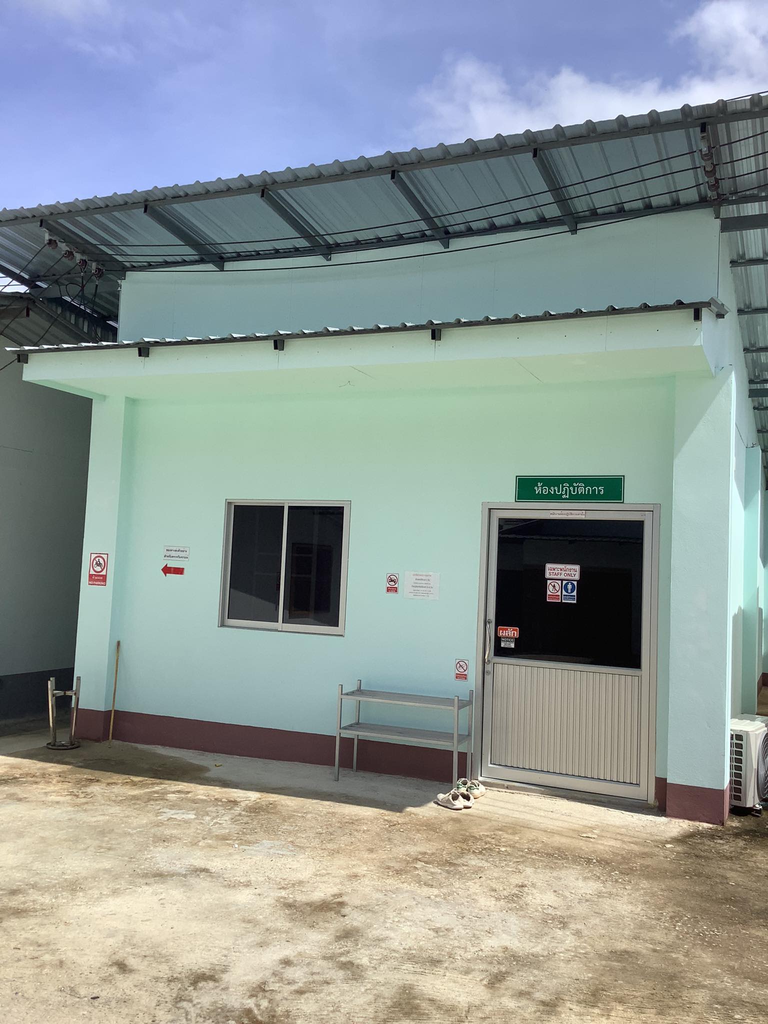 กระชายขาวสกัด บรรจุ 100 เม็ด มีอย. 50-2-05257-6-0115 ไม่ผสมอย่างอื่น กระชายสกัดเข้มข้น 100% กระชายขาวแคปซูล เป็นสารสกัดละลายน้ำได้ สกัดโดยเครื่อง Spray Dry กระชายขาวสกัด Galingale, Chinese ginger กระชายขาว ช่วยบำรุงธาตุ