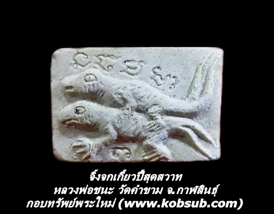 จิ้งจกปี้สุดสวาท หลวงพ่อชนะ วัดคำขาม จ.กาฬสินธุ์
