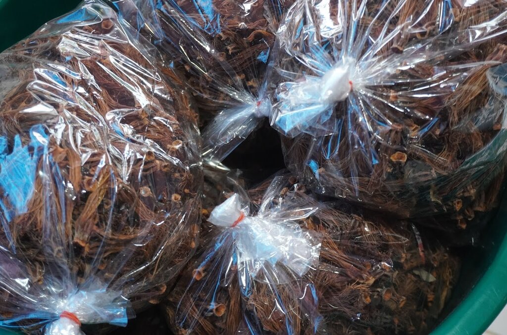 ดอกเงี้ยว ดอกงิ้ว ดอกเงี้ยวแห้ง 1 กิโลกรัม มาใหม่ ปี 2568 ดอกเงี้ยวราคาประหยัด เหมาะกับร้านอาหาร ร้านขนมจีนน้ำเงี้ยว ดอกเงี้ยวแห้ง Red cotton tree flowers dried เหมาะสำหรับทำขนมจีนน้ำเงี้ยว อาหารพื้นเมืองของทางภาคเหนือ อาหารแห้ง ของกินภาคเหนือ ของกินพื้นเ