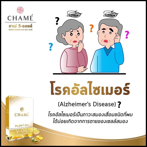 ชาเม่ วี ออยล์ Chame V-OIL
