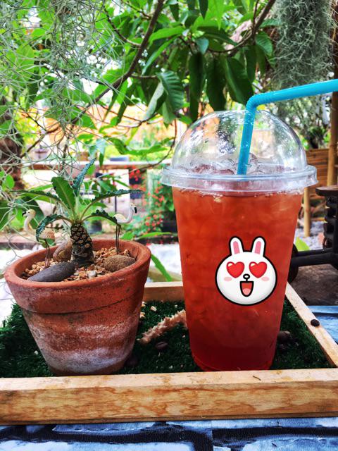 🍑 ชาลิ้นจี่ 50g (แบบทดลอง) ชาไทยหอมเข้มข้น จากเชียงใหม่ ผ่าน อย. ราคาถูก ชงง่าย อร่อยเหมือนร้าน | Lychee Tea Trial Pack Premium Quality from Chiang Mai Thailand ✨ ชาลิ้นจี่แท้จากดอยเชียงใหม่ กลิ่นหอมหวาน รสชาติเข้มข้น เหมาะทำชานม ชาเย็น