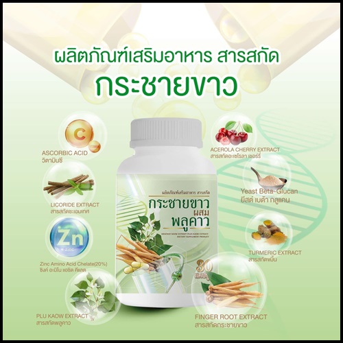 กระชายขาวผสมพลูคาว