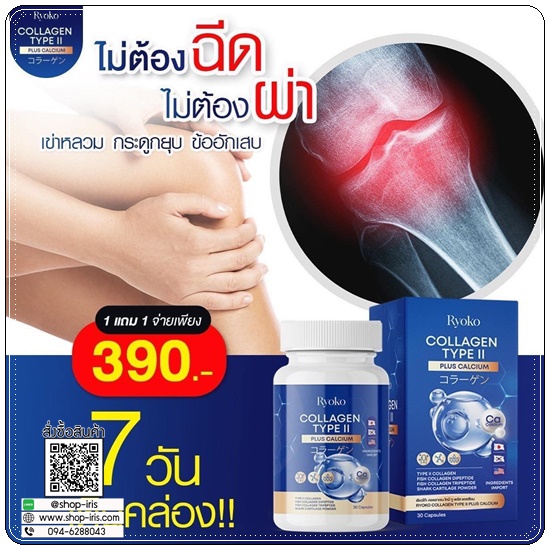 เรียวโก๊ะคอลลาเจน Ryoko Collagen TYPE II (1แถม1)