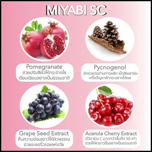 มิยาบิ เอสซี Miyabi SC คอลลาเจนสเต็มเซลล์