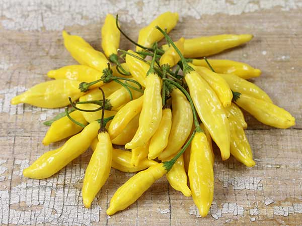 พริกเลม่อนดรอป - Lemon Drop Pepper (เปรี้ยว)
