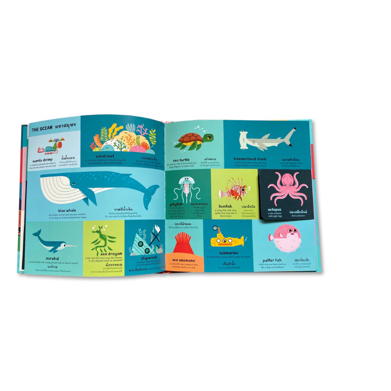 My First Book of Everything เล่มแรกของหนูเรียนรู้ทุกสิ่ง(ปกแข็ง/flap book) พจนานุกรมภาพ 2 ภาษา 4 ปีขึ้นไป