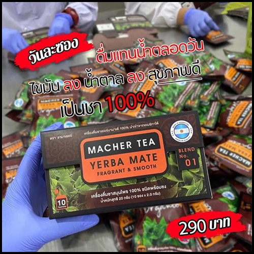 ชามาเต Macher Tea Yerba Mate