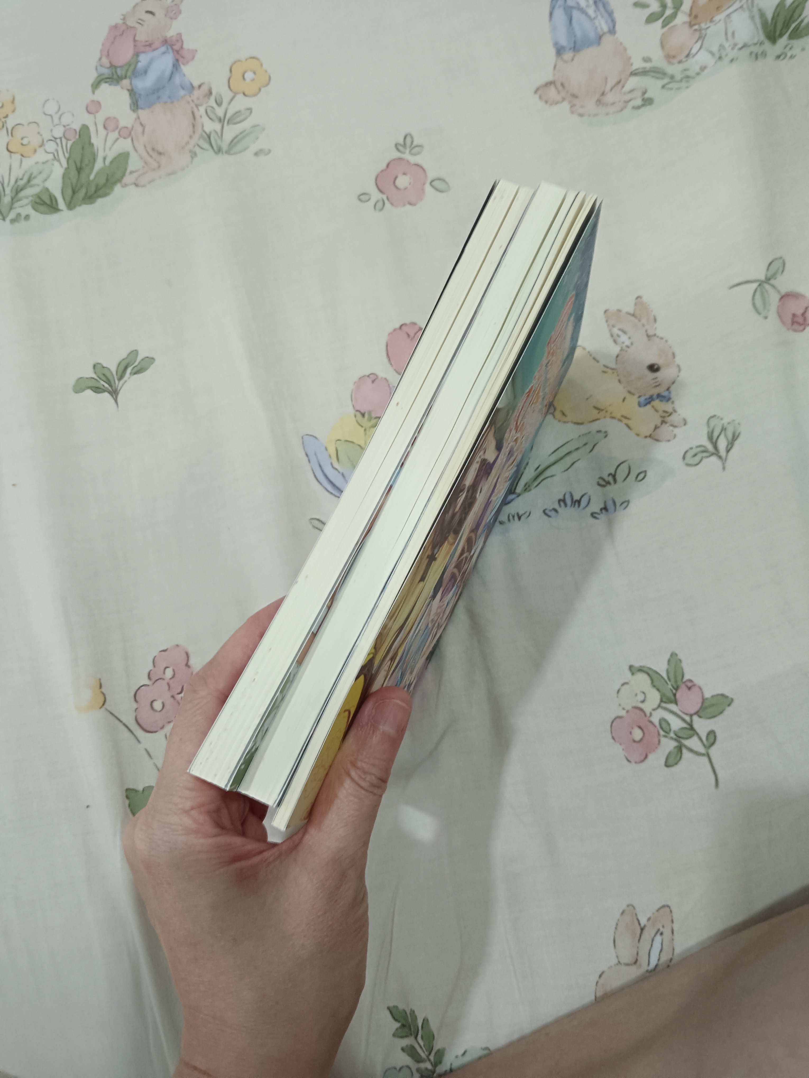 นิยายแปล ฮ่องเต้ที่แท้จริง 2 เล่มจบ + ตำหนักรักองค์จักรพรรดิ์
