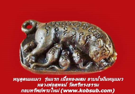 หนูดูดนมแมว รุ่นแรก เนื้อทองผสม อาบน้ำมันหนูแมว หลวงพ่อสุพจน์