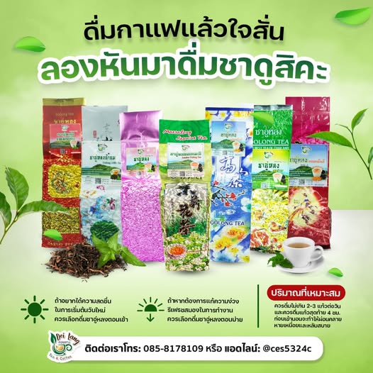 ชาอู่หลงสี่ฤดู ชาอู่หลง 4 ฤดู Oolong Tea ขนาด 100 กรัม Four Season Tea เป็นชาที่สามารถเก็บเกี่ยวได้เพียงปีละครั้ง ลักษณะเด่นคือ ชาจะมีกลิ่นหอมเหมือนดอกกล้วยไม้ธรรมชาติ และมีรสชาติที่ เข้มข้น ชุ่มคอกว่าชาชนิดอื่นๆ