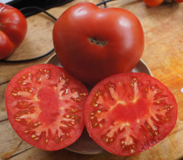 มะเขือเทศมาร์กทเวน - Mark Twain Tomato