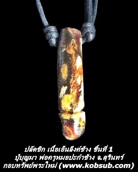 ปลัดขิก เนื้อเอ็นลึงค์ช้าง ชิ้นที่ 1 ปู่บุญมา พ่อครูหมอปะกำช้าง จ.สุรินทร์