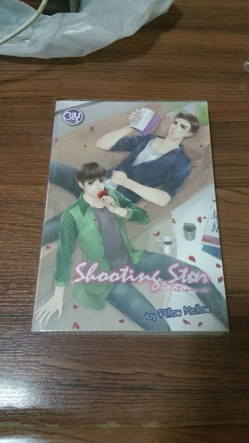 นิยาย ส่งรักถึงดวงดาว มือสอง