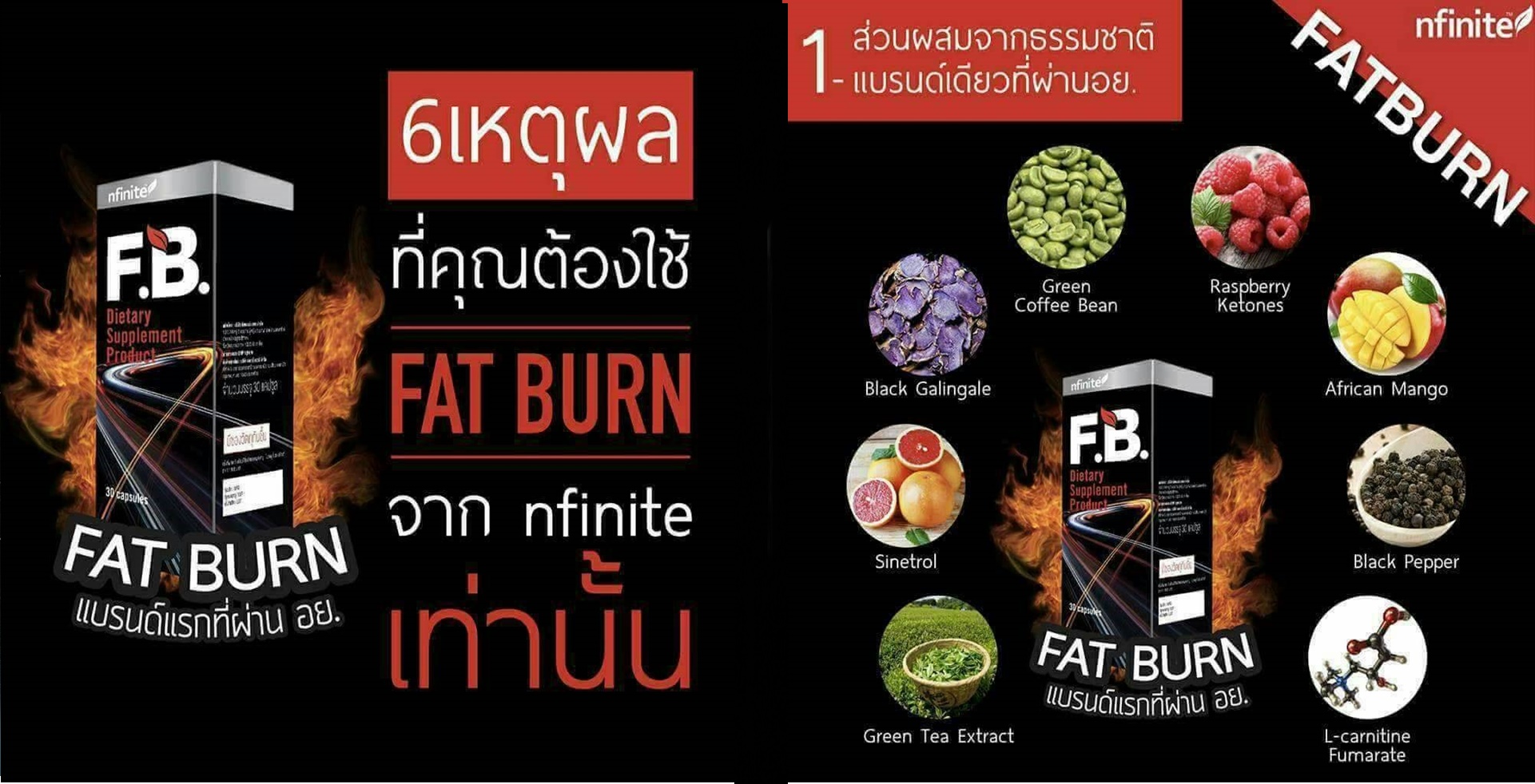 เอฟ.บี. แฟต เบิร์น F.B. Fat Burn เร่งการเผาผลาญไขมัน