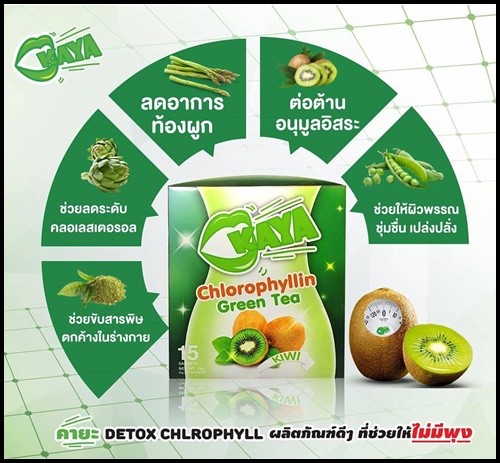 คายะ คลอโรฟิลล์ กรีนที ดีท็อกซ์ KAYA Chlorophyllin Green Tea