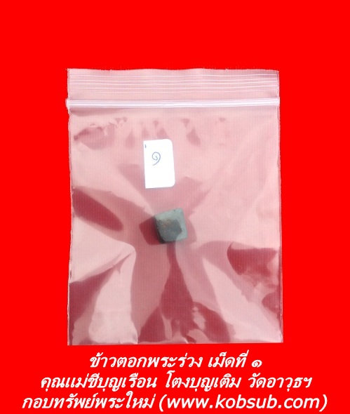 ข้าวตอกพระร่วง เม็ดที่ ๑ คุณแม่ชีบุญเรือน