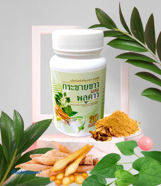 กระชายขาวผสมพลูคาว