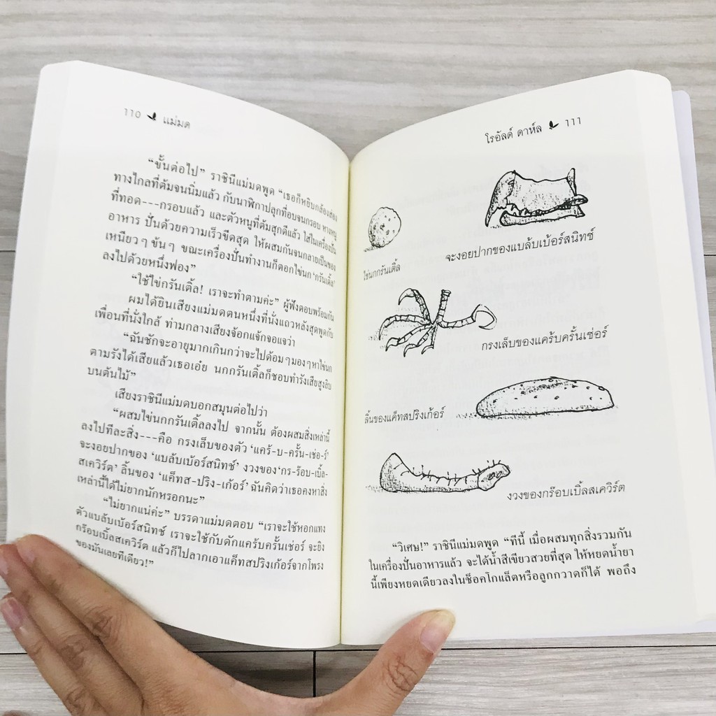 แม่มด (The Witches) 8-12 ปี