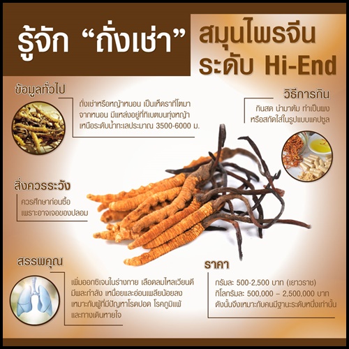 ถั่งเช่า ผสมมัลติวิตามินบี ถั่งเช่ายิ่งยง ของแท้