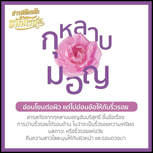 ขมิ้นโรสครีม Kamin Rose Cream