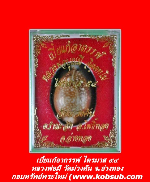 เบี้ยแก้อาถรรพ์ ไตรมาส ๕๔ หลวงพ่อมี วัดม่วงคัน