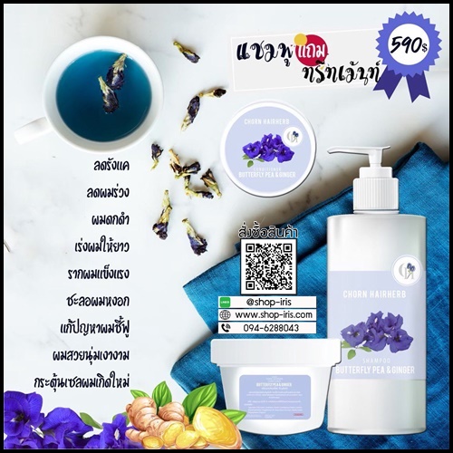 ชรแฮร์เฮิร์บ แชมพูสมุนไพรสดอัญชันขิง Chorn Hairherb เร่งยาว ลดการหลุดร่วง (1 แถม 1 ) ส่งฟรี
