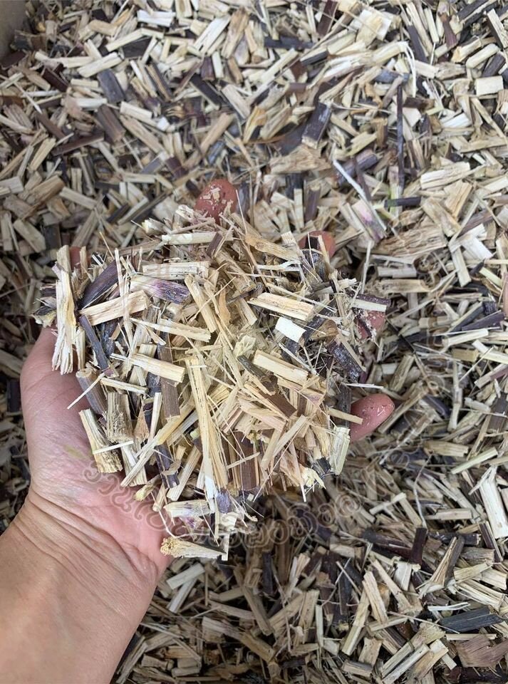 ชาอ้อยแดง ผสมใบเตย Sugar cane tea ขนาดบรรจุ 100 ซองชา เหมาะสำหรับบำรุงไต บำรุงธาตุ ขับปัสสาวะ ขับนิ่ว ลดตัวบวม สินค้ามาตรฐานวิสาหกิจชุมชน ผลิตโดยเครื่องจักรที่ทันสมัย รับประกันความพอใจของสินค้า