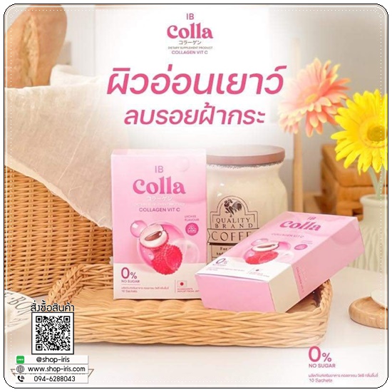 ไอบี คอลลา IB Colla