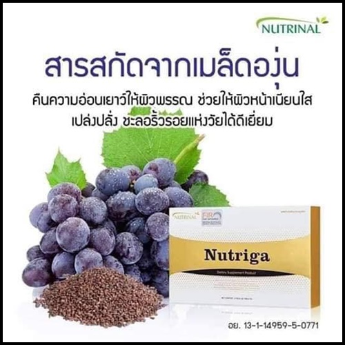 นูทริก้า Nutriga Nutrinal อาหารเสริมฟื้นฟูเซลล์
