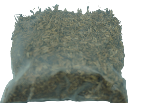 เมล็ดพันธุ์โสมตังกุย (ของหายาก) น้าหนัก 25 กรัม เม็ดโสมตังกุย เมล็ดตังกุยแห้ง (โกฐเชียง) Angelica sinensis Diels สรรพคุณ ต้านอนุมูลอิสระ บำรุงกำลัง ช่วยฟอกเลือด ช่วยกระจายโลหิต บำรุงสมอง รักษแก้อาการปวดศรีษะ มือเท้าเย็นชา ลดอาการปวดประจำเดือน