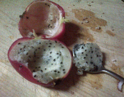 แอปเปิลเปรูเวียนสีแดง - Red Peruvian Apple
