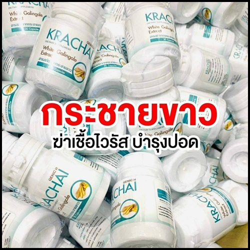 Krachai White Galingale ผลิตภัณฑ์อาหารเสริม จากกระชายขาว
