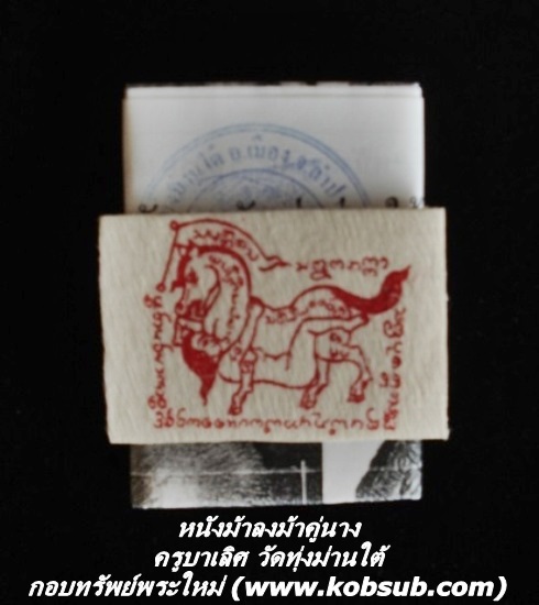 หนังม้าลงม้าคู่นาง (พลังม้าทัพม้า) ครูบาเลิศ วัดทุ่งม่านใต้