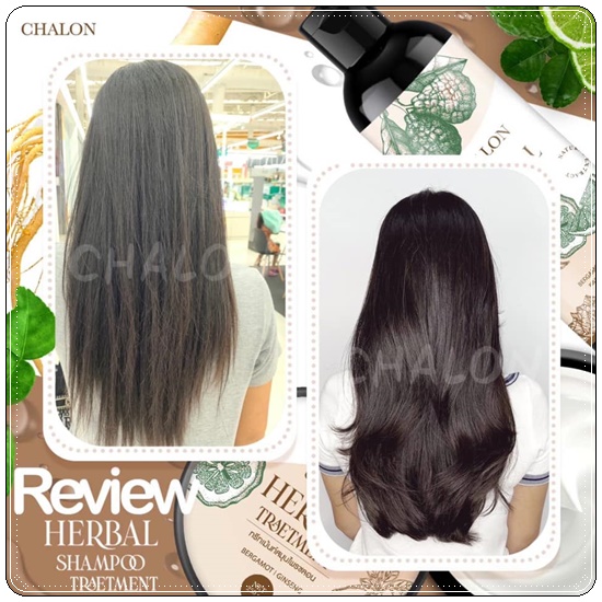 แชมพูมะกรูดชลอน Chalon Herbal Shampoo (แถมฟรี ทรีทเม้นชลอน)