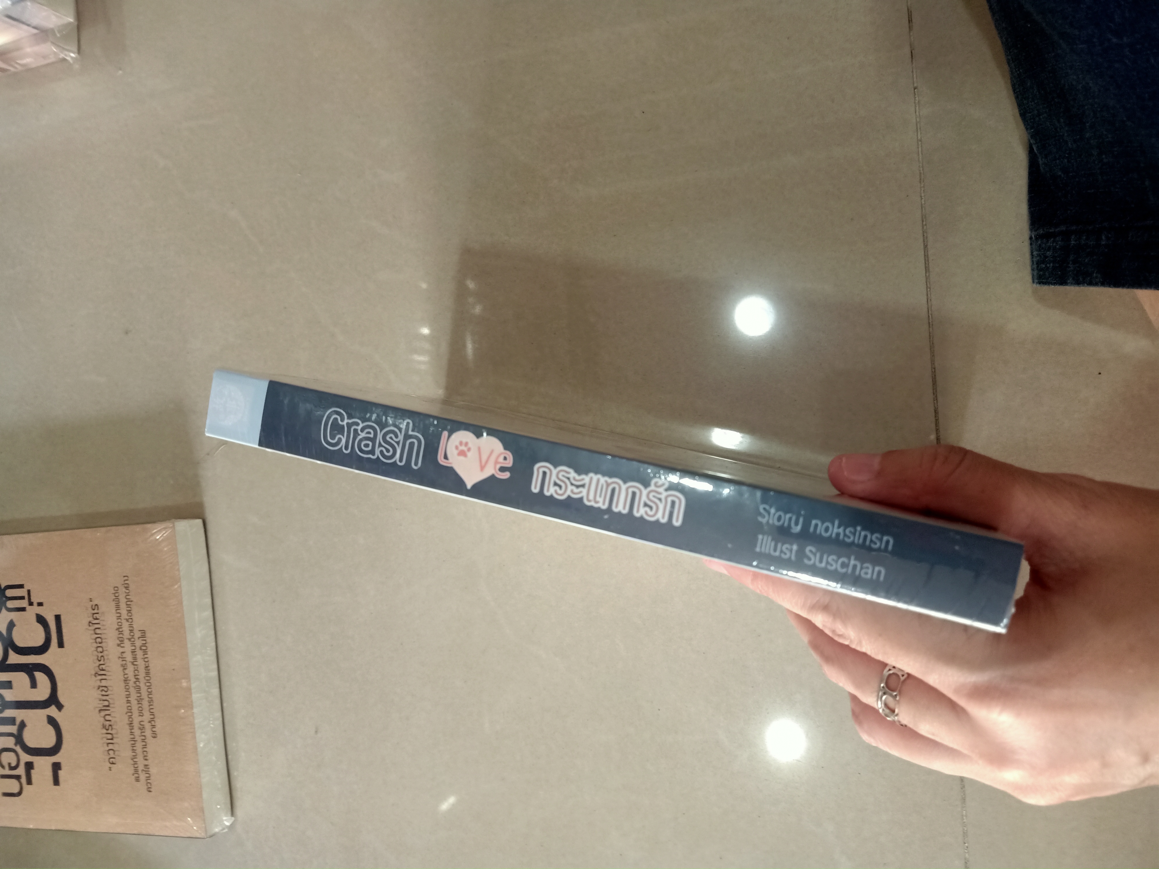 นิยายแต่ง Crash love กระแทกรัก