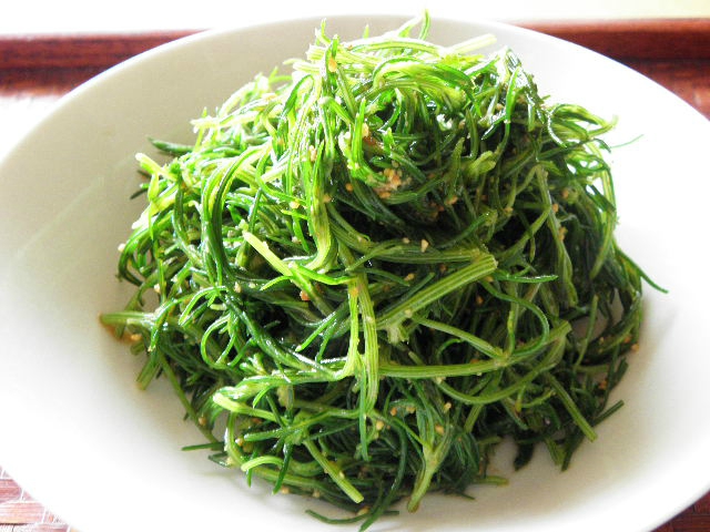 โอกะฮิจิกิ - Okahijiki (Salsola komarovii)
